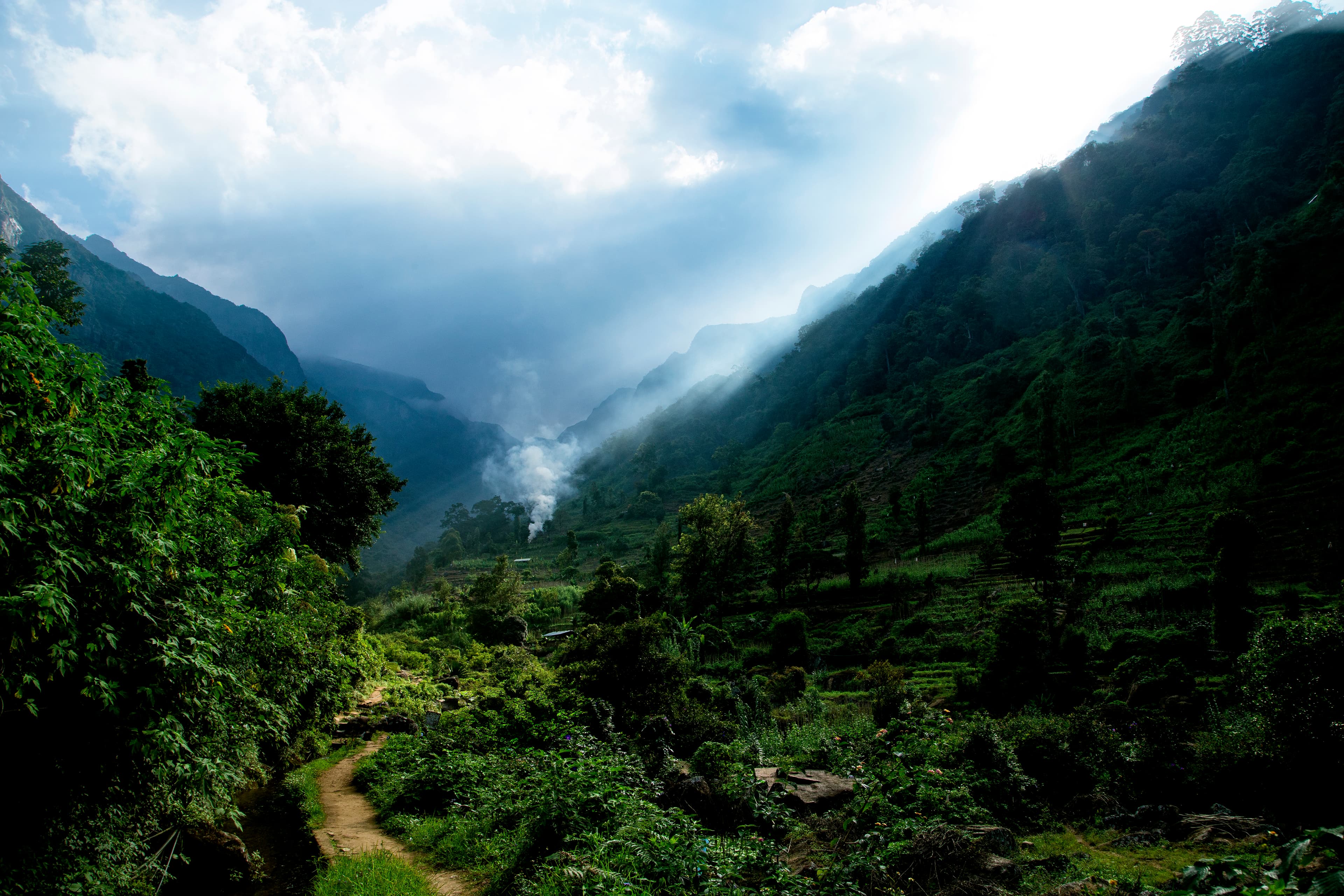 Wildlife safari in Sri Lanka